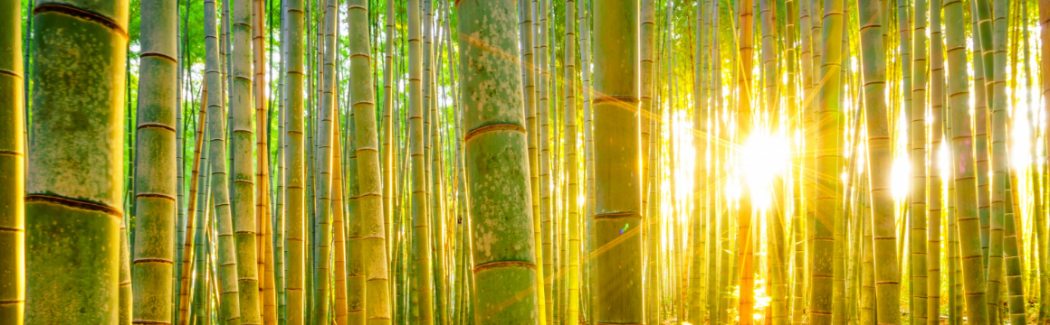 Stampa su prodotti in bambù